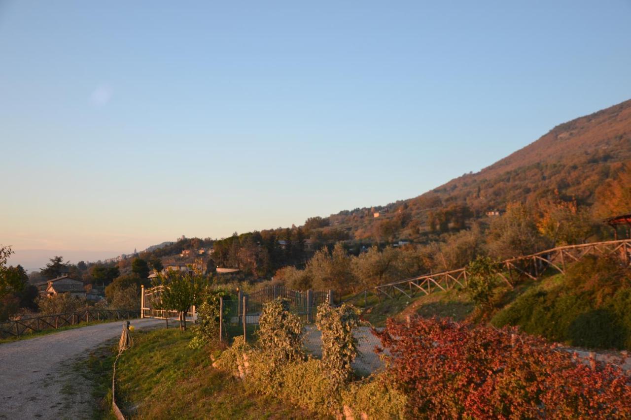 Locazione Turistica Villa Delle Rose Assisi Exterior photo